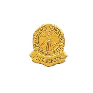 Custom Engraved Special Award – PM 1197 - Metal Lapel Badge