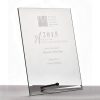 Clear Glass Trophy with Metal Pin Stand – Rectangle